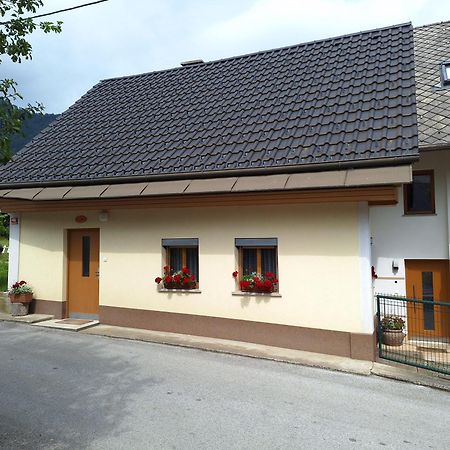 Apartma Pr Martin Begunje na Gorenjskem Luaran gambar