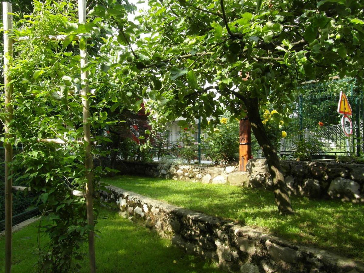 Apartma Pr Martin Begunje na Gorenjskem Luaran gambar