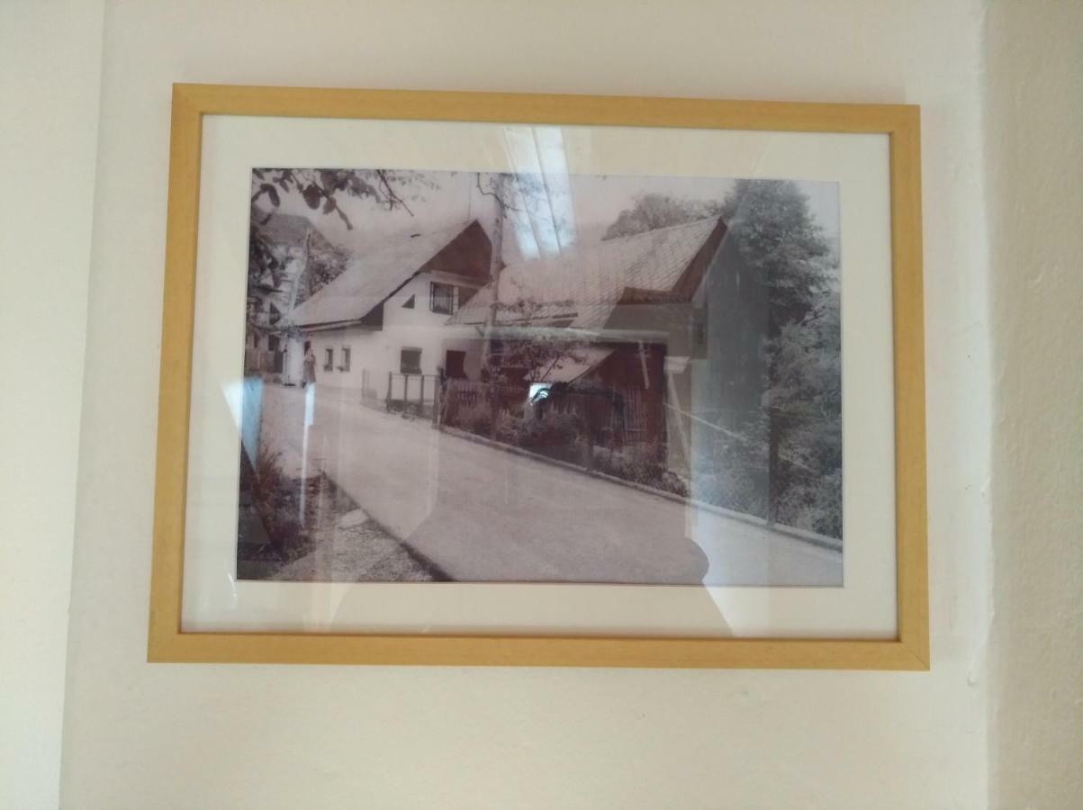 Apartma Pr Martin Begunje na Gorenjskem Luaran gambar