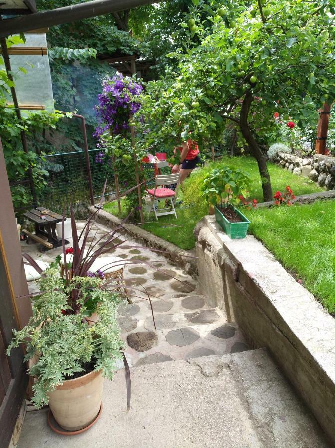 Apartma Pr Martin Begunje na Gorenjskem Luaran gambar